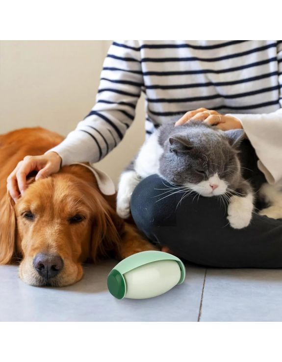 2 Pack Reusable Lint Roller Washable Mini Lint Remover for Cat Dog Pet Hair Rollers Travel Size Sticky Cleaner Hair Remover for Clothes