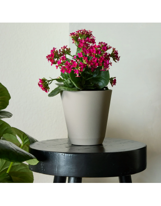14 in. Black Resin Self-Watering Planter