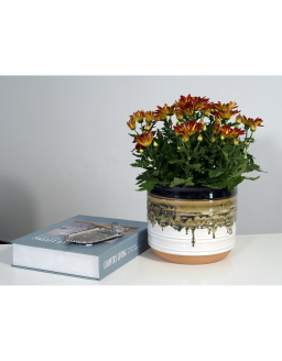 8"  Ceramic Planter, Black