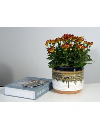 8"  Ceramic Planter, Black